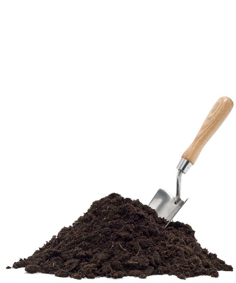 spade in a mound of dirt