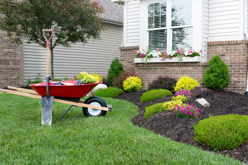 Specialty Products 1 Wheelbarrow standing on a neat manicured green lawn alongside a flowerbed while planting a celosia flower garden around a house with fresh spring plants