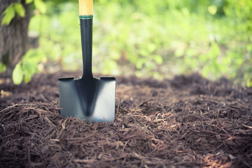 Hardwood Mulch 1 Shovel in the Mulch